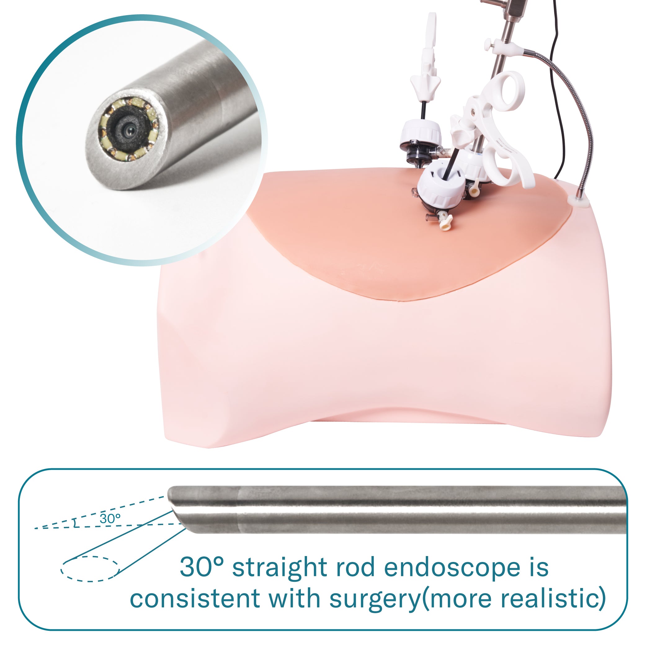 Alcedo Advanced Abdominal Simulation Trainer Box