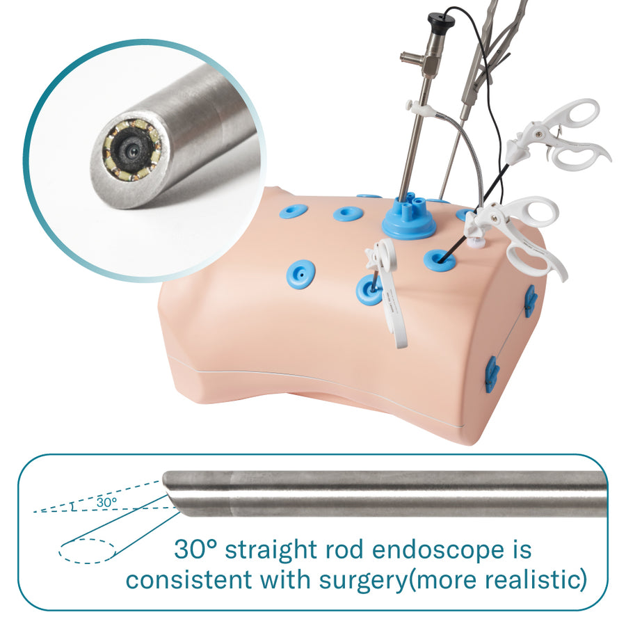 Alcedo Abdominal Single-port Trainer Box