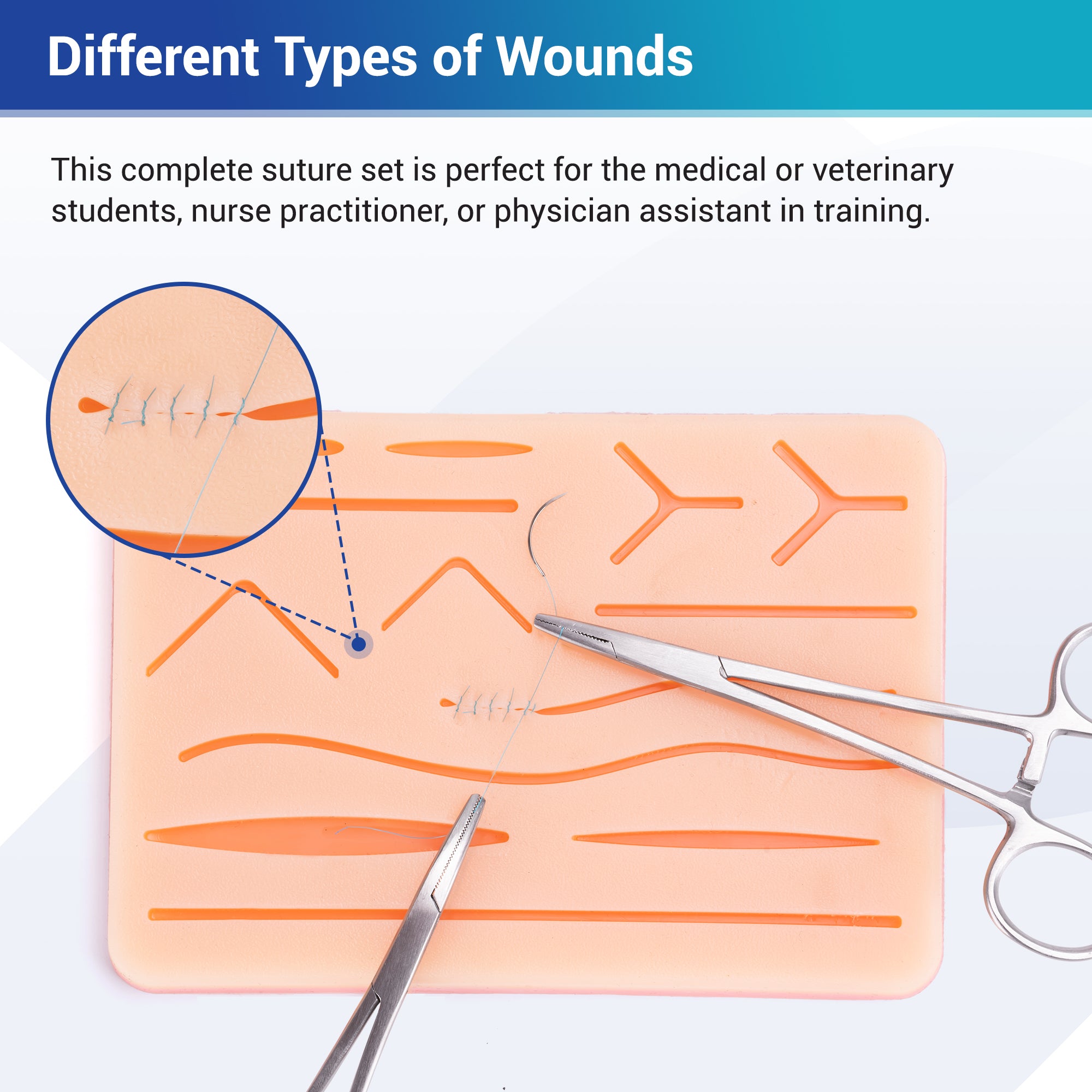 Alcedo Suture Practice Kit  ASK-SP
